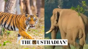 Kerala’s Proposal to Change Wildlife Protection Law