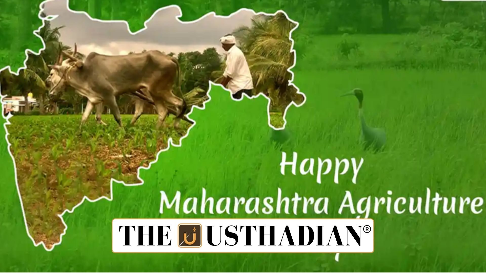 Maharashtra Declares Sustainable Agriculture Day