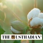 Cotton Cultivation Decline in Tamil Nadu