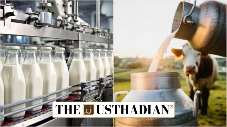 India Dairy Sector Achieves Historic Expansion
