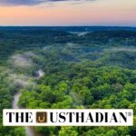 India Climbs to 9th Globally in Forest Area