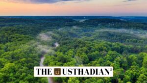 India Climbs to 9th Globally in Forest Area