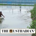 Sundarbans Aquaculture Model Gains Global FAO Recognition