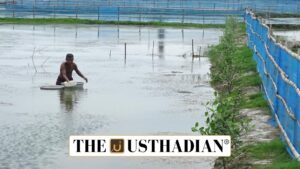 Sundarbans Aquaculture Model Gains Global FAO Recognition