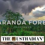 Saranda Forest Conservation Push