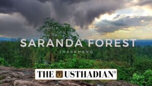 Saranda Forest Conservation Push