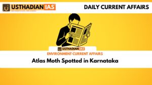 Atlas Moth Spotted in Karnataka