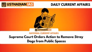 Supreme Court Orders Action to Remove Stray Dogs from Public Spaces
