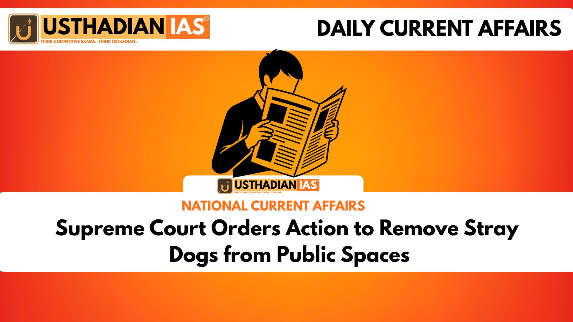 Supreme Court Orders Action to Remove Stray Dogs from Public Spaces