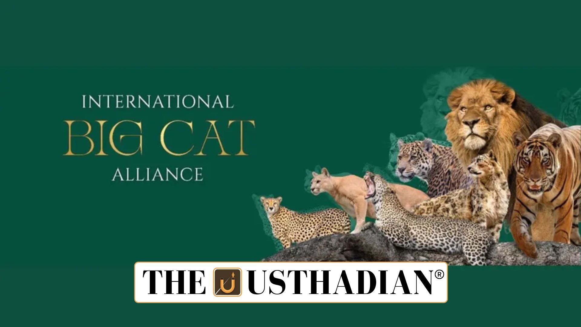 India’s Global Big Cats Summit 2026