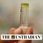 IIT Guwahati Creates Breakthrough Material for Fuel Detection and Oil Spill Cleanup