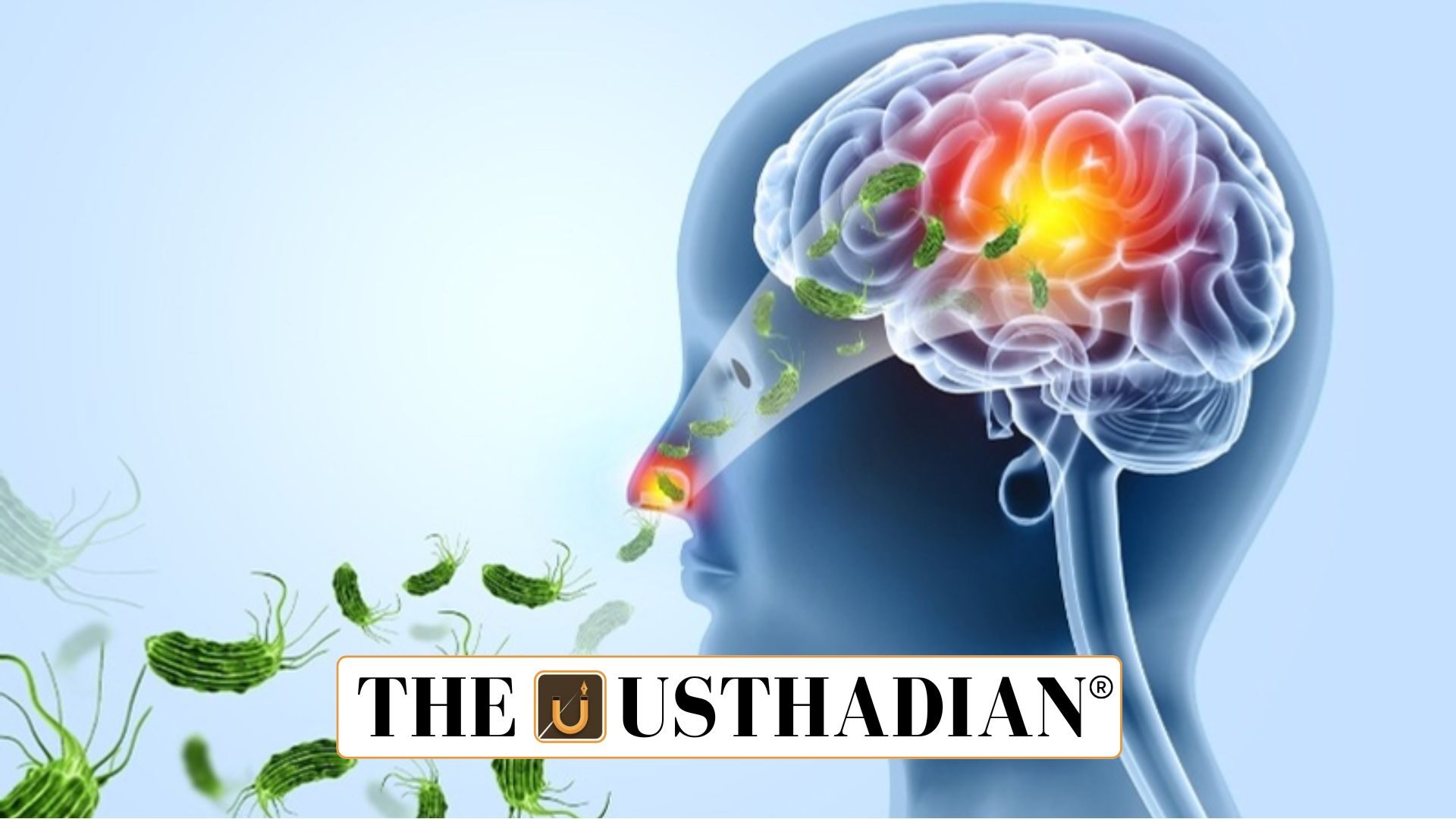 Karnataka Health Advisory On Naegleria Fowleri Risk For Pilgrims