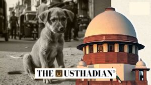 Supreme Court Orders Action to Remove Stray Dogs from Public Spaces