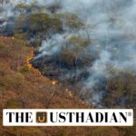 Addressing Land Degradation in Agrifood Systems