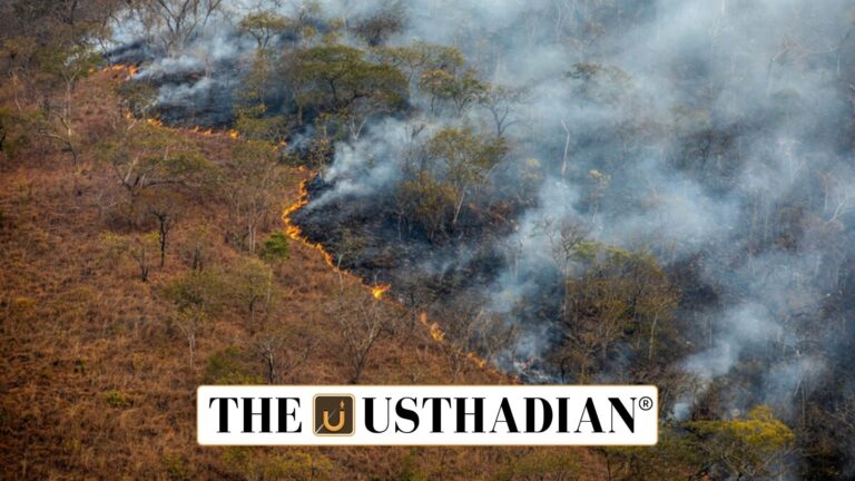 Addressing Land Degradation in Agrifood Systems