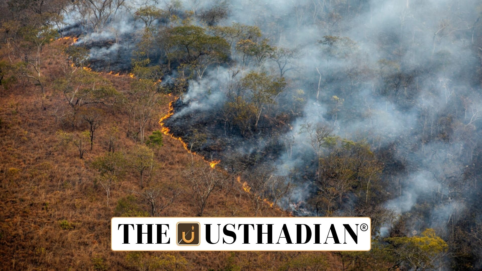 Addressing Land Degradation in Agrifood Systems