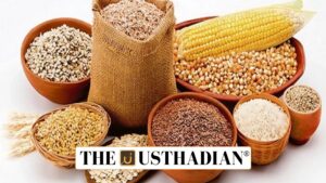 India’s Record Food grain Production in 2024-25