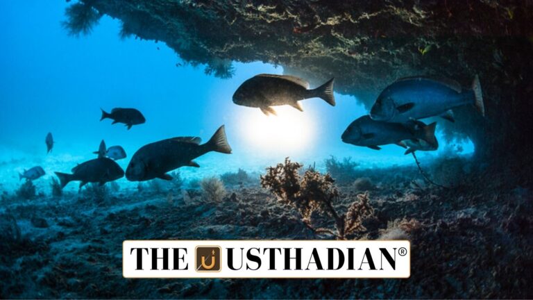 India’s First Fully Digitised Marine Fisheries Census 2025