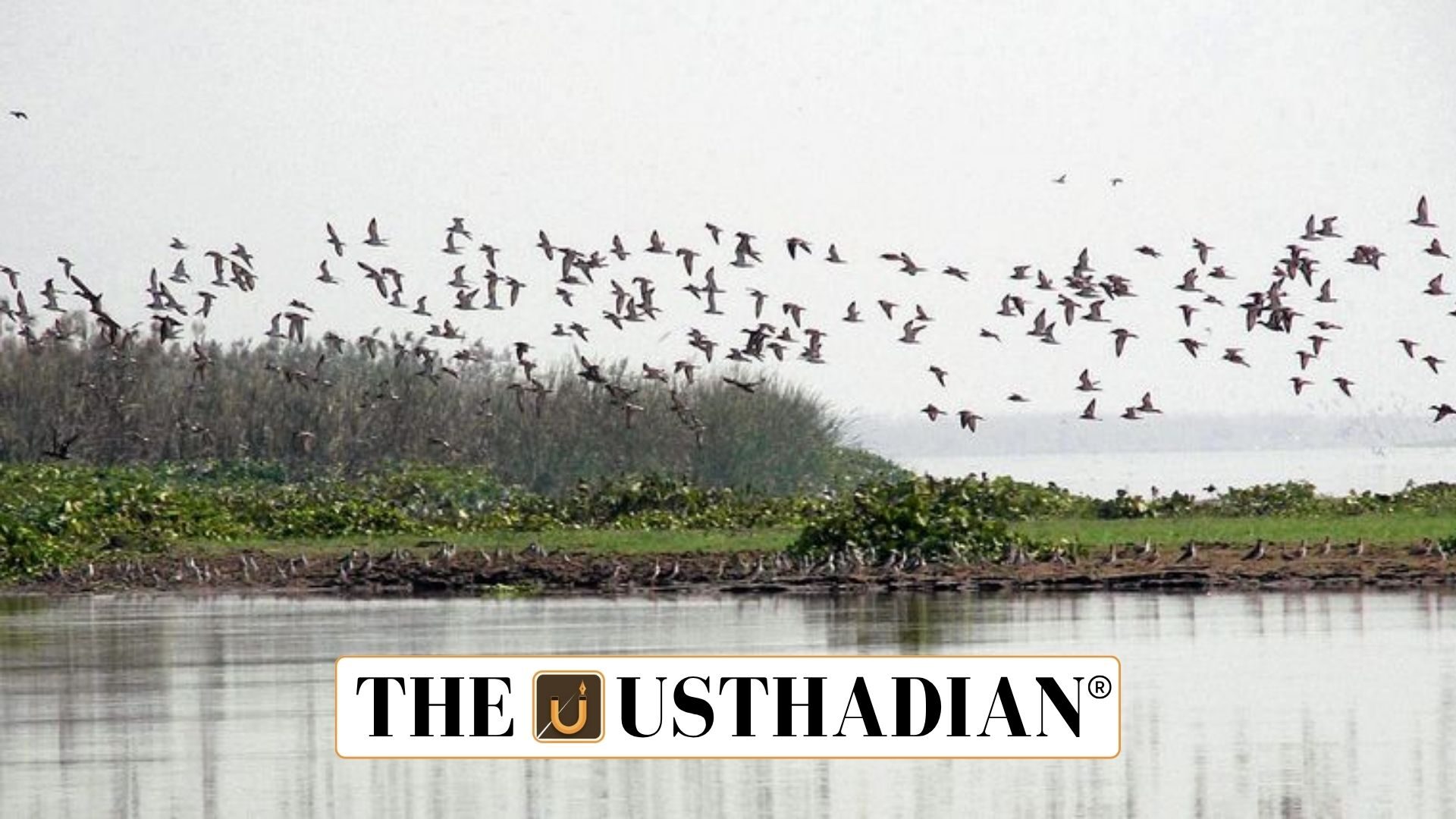 Gogabeel Lake Recognised as India’s 94th Wetland of International Importance