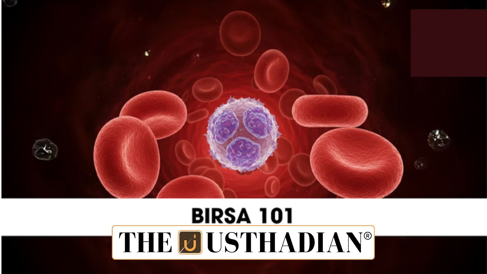 India Launches First Indigenous CRISPR Gene Therapy for Sickle Cell Disease