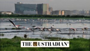 Pallikaranai Marshland Dispute