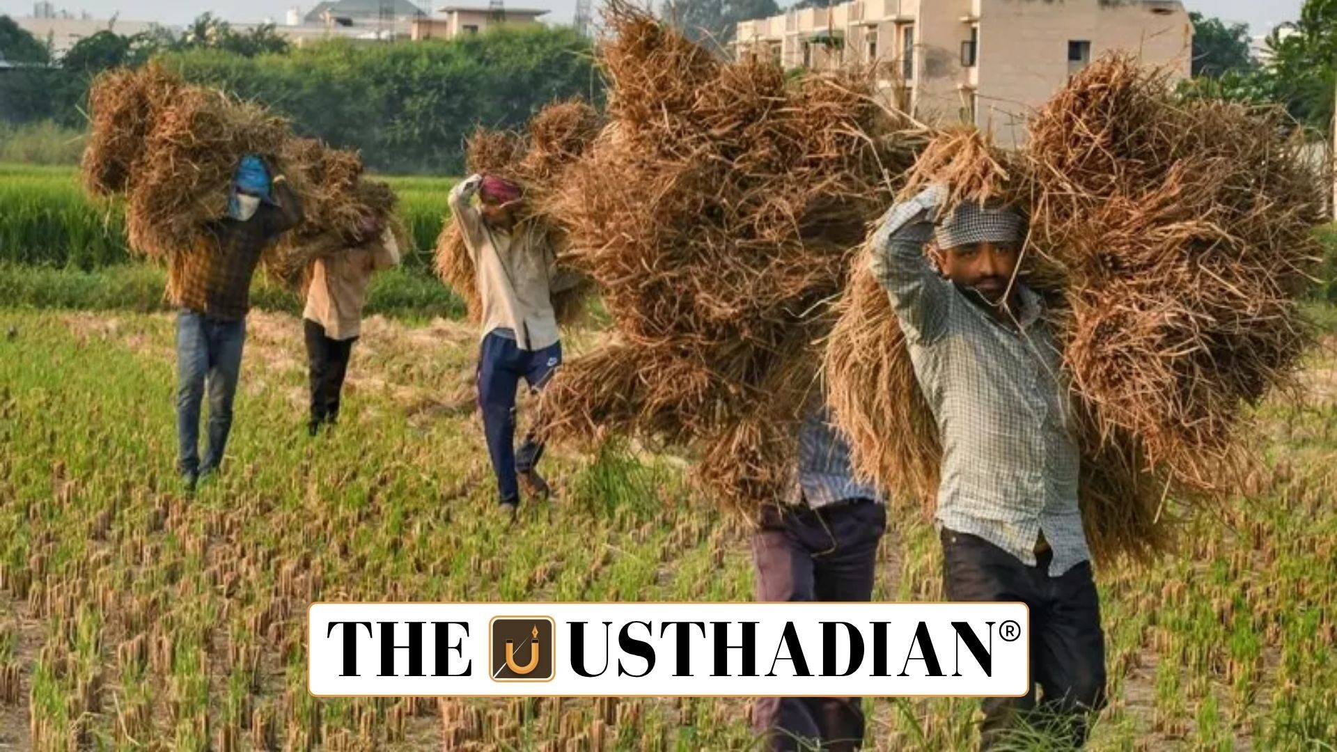 Kuruvai Paddy Procurement Drive in Tamil Nadu