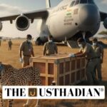 India Welcomes Eight New Cheetahs from Botswana