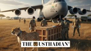 India Welcomes Eight New Cheetahs from Botswana