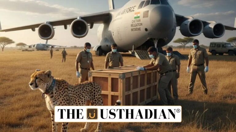 India Welcomes Eight New Cheetahs from Botswana