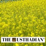 India’s Stand on Farmers’ Rights and Genetic Resources at Lima Meet