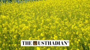 India’s Stand on Farmers’ Rights and Genetic Resources at Lima Meet