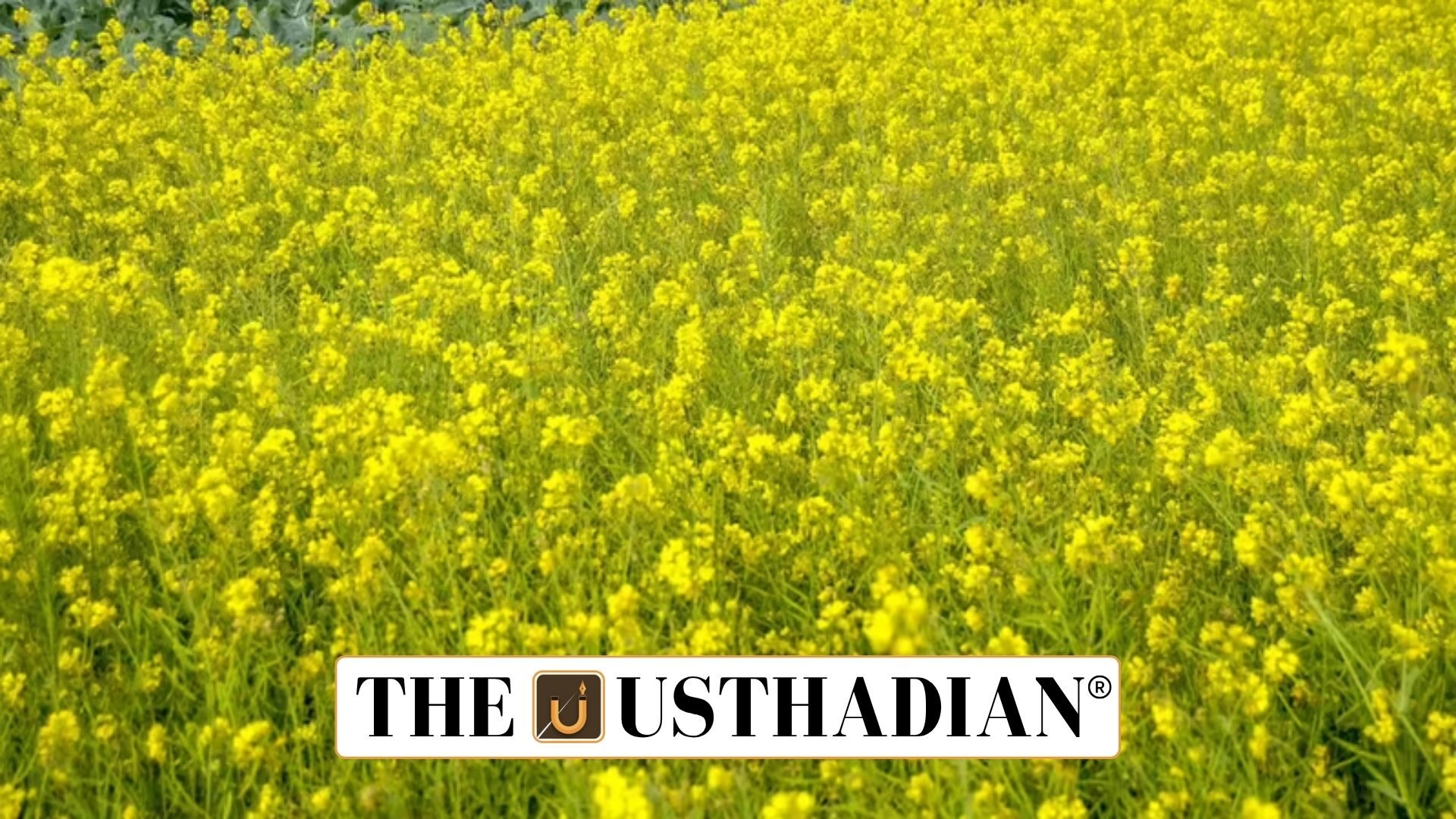 India’s Stand on Farmers’ Rights and Genetic Resources at Lima Meet