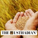 Draft Seeds Bill 2025 Strengthens Seed Quality And Farmer Protection