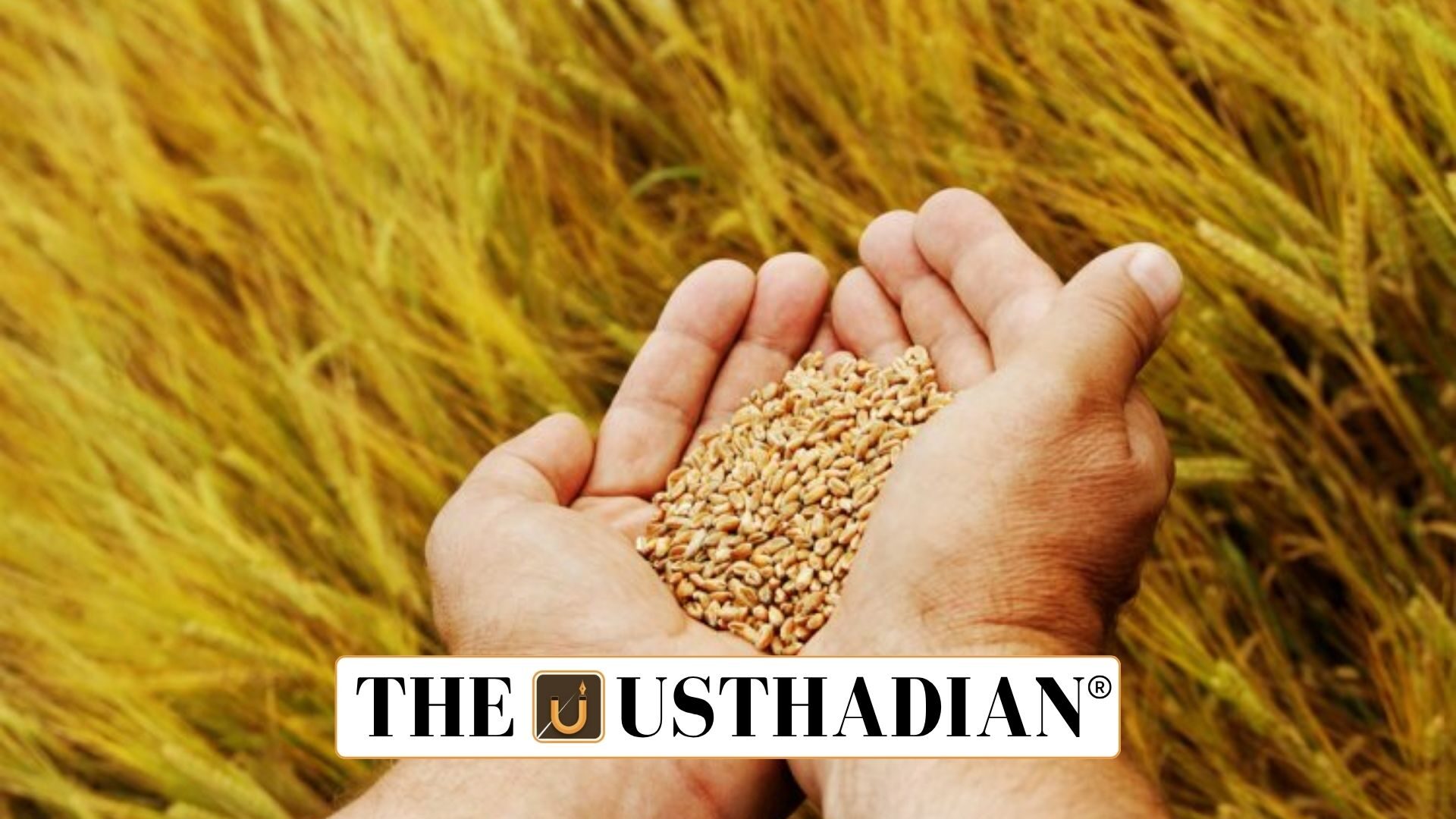 Draft Seeds Bill 2025 Strengthens Seed Quality And Farmer Protection