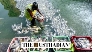 Sustainable Harnessing of Fisheries in India