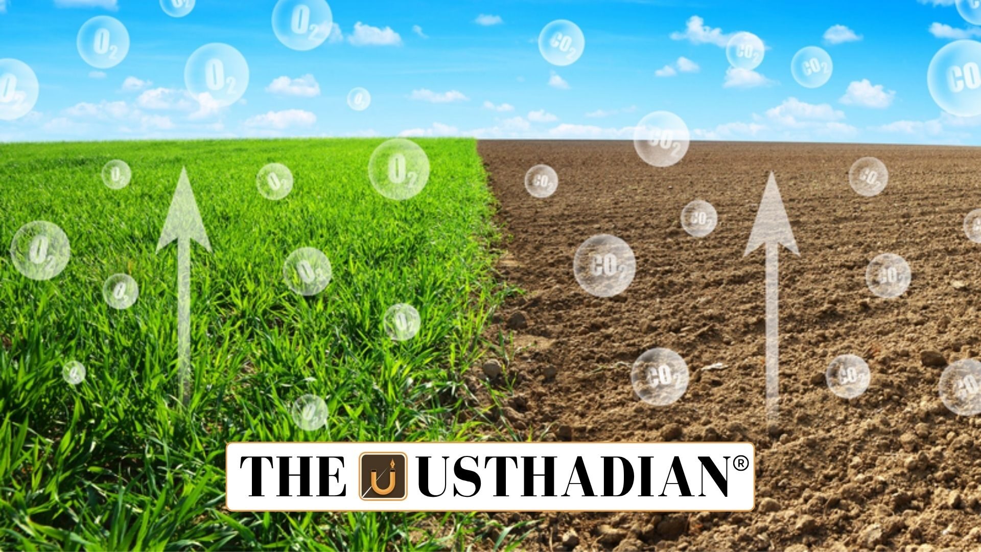 Assessing Soil Organic Carbon for Sustainable Agriculture