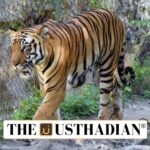 Tiger Reserves and Recent Recommendation in Goa