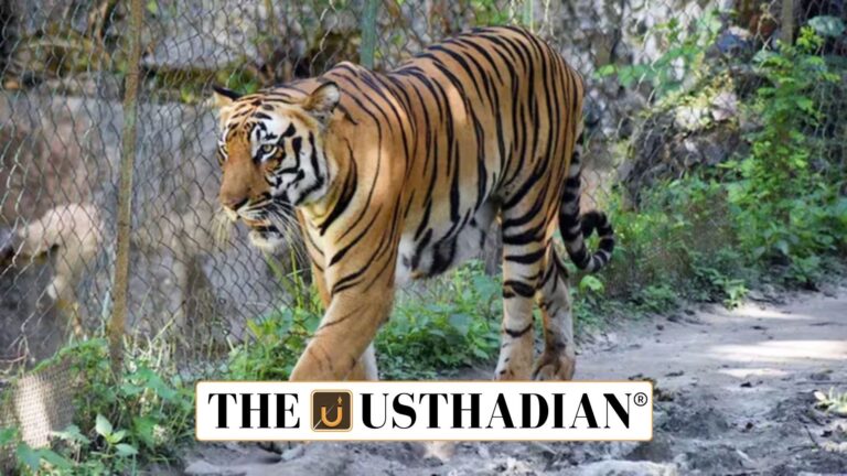 Tiger Reserves and Recent Recommendation in Goa