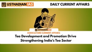 Tea Development and Promotion Drive Strengthening India’s Tea Sector
