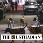 Animal Welfare Board of India and New Directions on Stray Dog Management