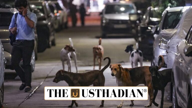 Animal Welfare Board of India and New Directions on Stray Dog Management