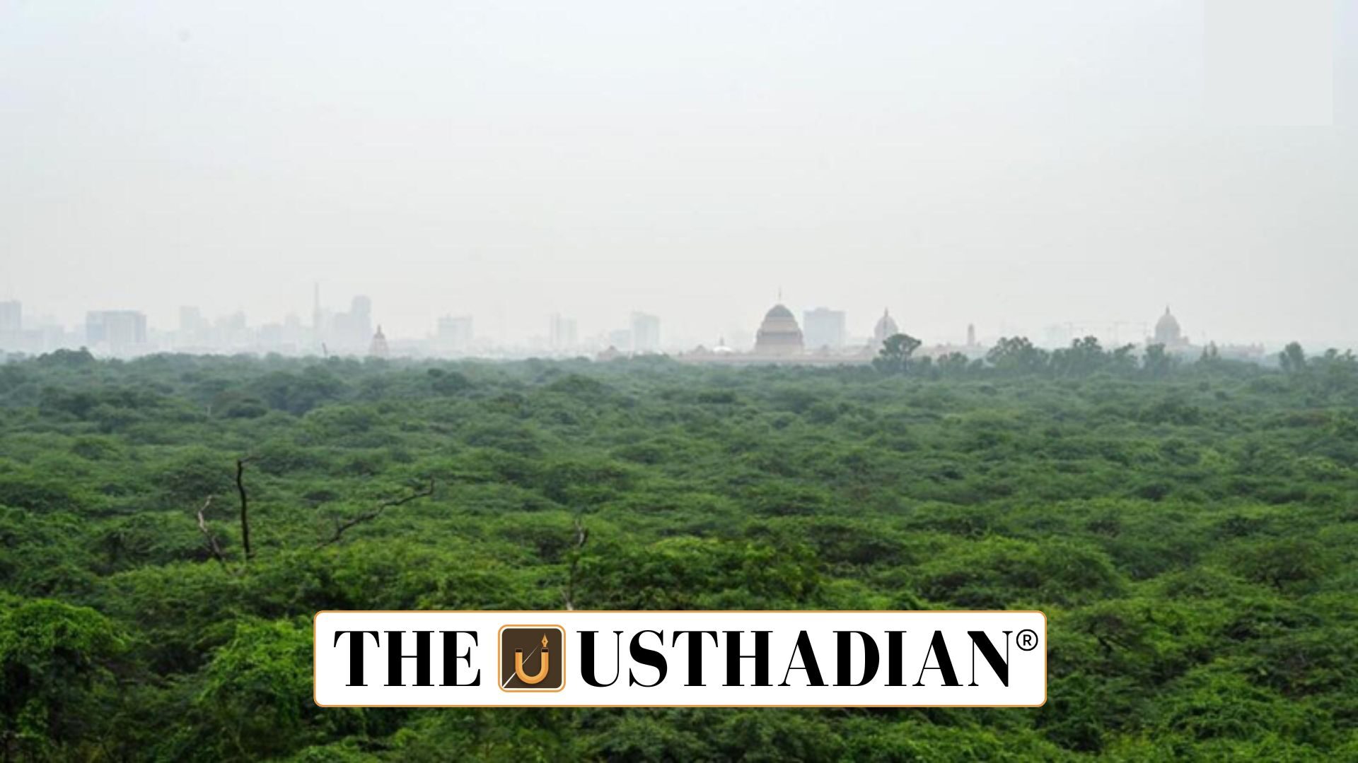 Statutory Delhi Ridge Board and Protection of Capital Green Cover