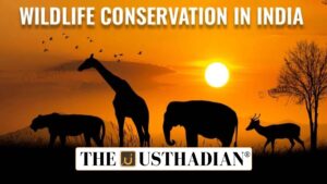 National Wildlife Conservation Efforts in India