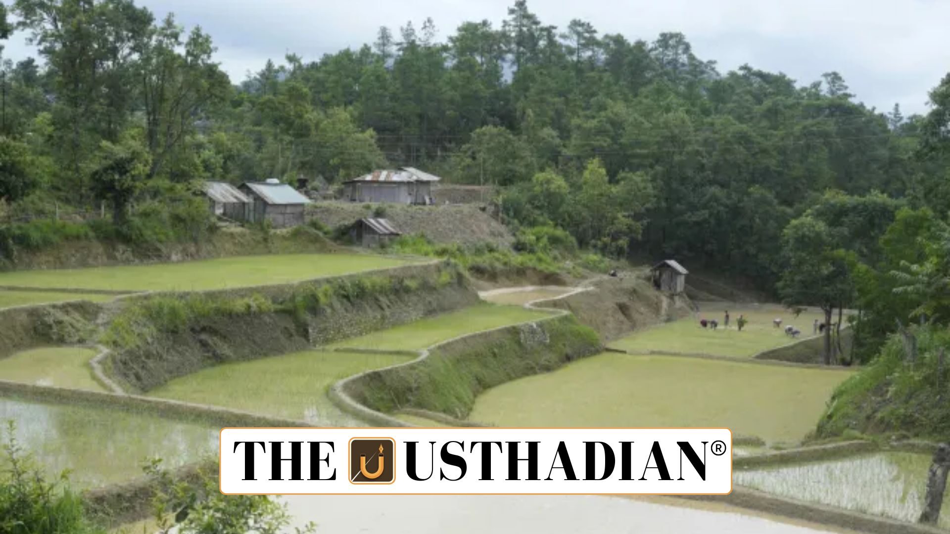 Watershed Revival Drive in Nagaland