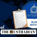 Interpol Blue Notice and Its Role in Global Tracking