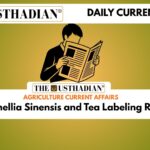 Camellia Sinensis and Tea Labeling Rules