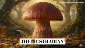 Hemileccinum indicum Discovery in Himalayan Oak Forests