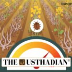 Orobanche aegyptiaca and India’s Mustard Crisis