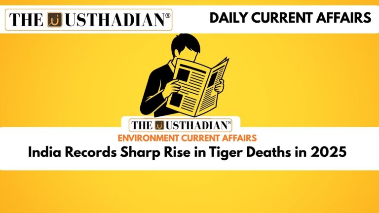 India Records Sharp Rise in Tiger Deaths in 2025