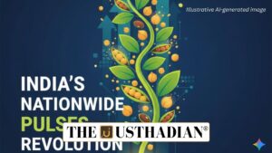 India’s Nationwide Pulses Revolution from Amlaha